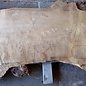 Pappel Maser Tischplatte, ca. 3200 x 850(1120) x 80 mm, 12736