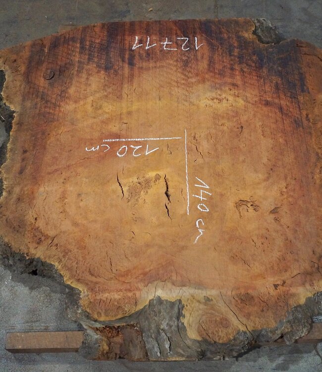 Eucalyptus burl table top, approx. 1400 x 1200(1500) x 52 mm, 12711