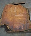 Eucalyptus burl table top, approx. 1170 x 1140(1500) x 52 mm, 12712