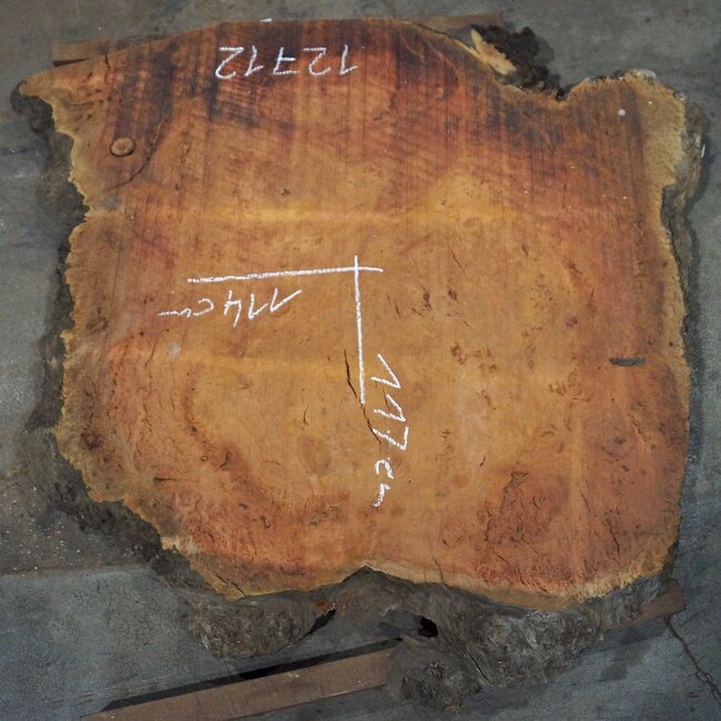 Eucalyptus Maser Tischplatte, ca. 1170 x 1140(1500) x 52 mm, 12712