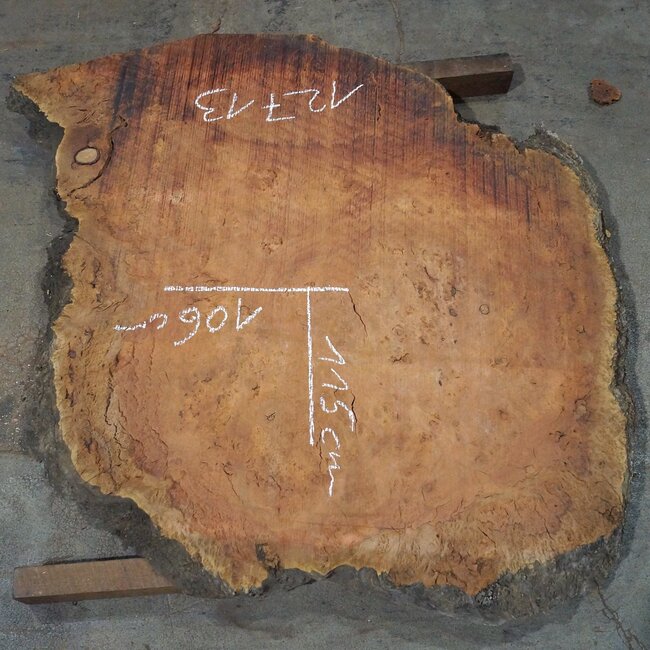 Eucalyptus Maser Tischplatte, ca. 1150 x 1060(1200) x 52 mm, 12713