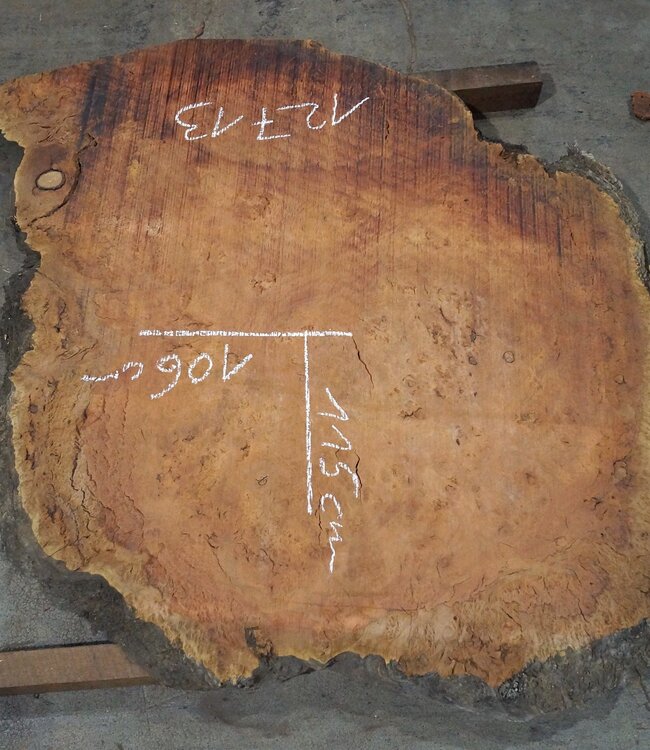 Eucalyptus burl table top, approx. 1150 x 1060(1200) x 52 mm, 12713