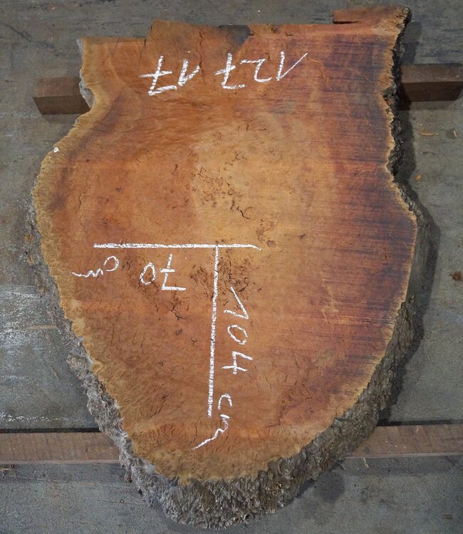 Eucalyptus Maser Tischplatte, ca. 1040 x 700(1090x820) x 52 mm, 12717