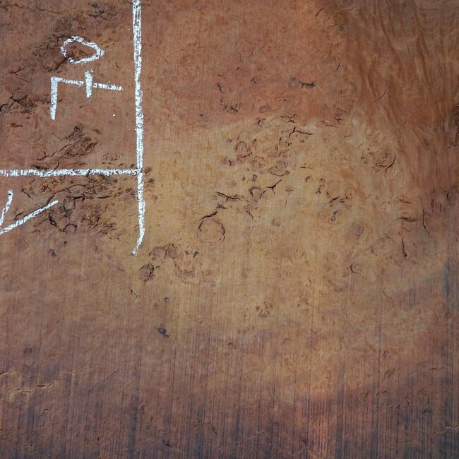 Eucalyptus Maser Tischplatte, ca. 1040 x 700(1090x820) x 52 mm, 12717