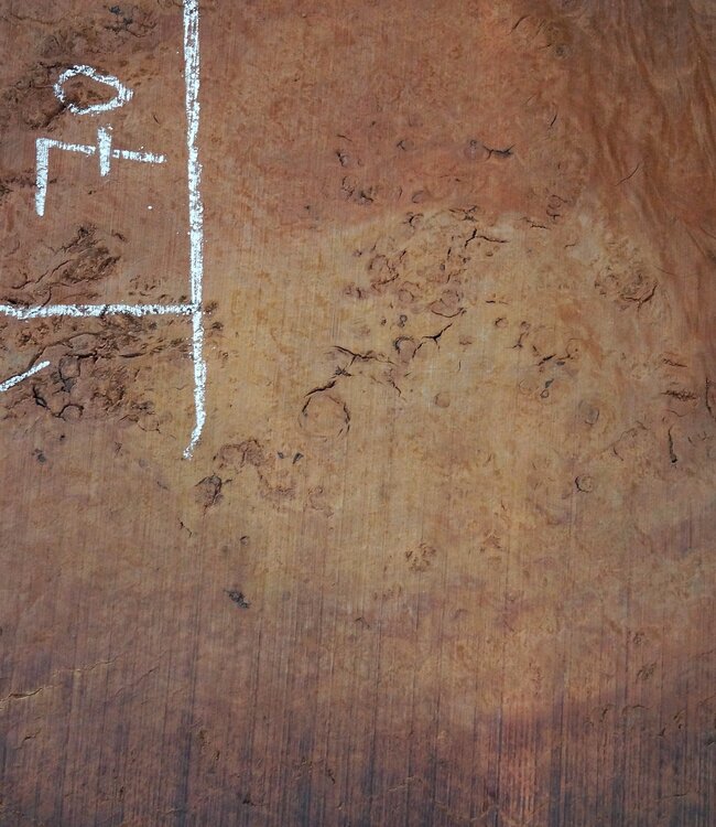 Eucalyptus Maser Tischplatte, ca. 1040 x 700(1090x820) x 52 mm, 12717