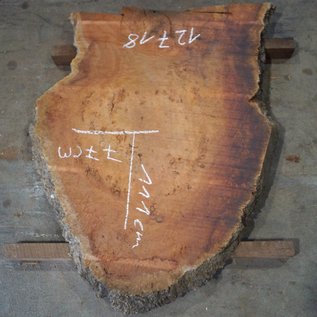 Eucalyptus burl table top, approx. 1110 x 770(1200x900) x 52 mm, 12718