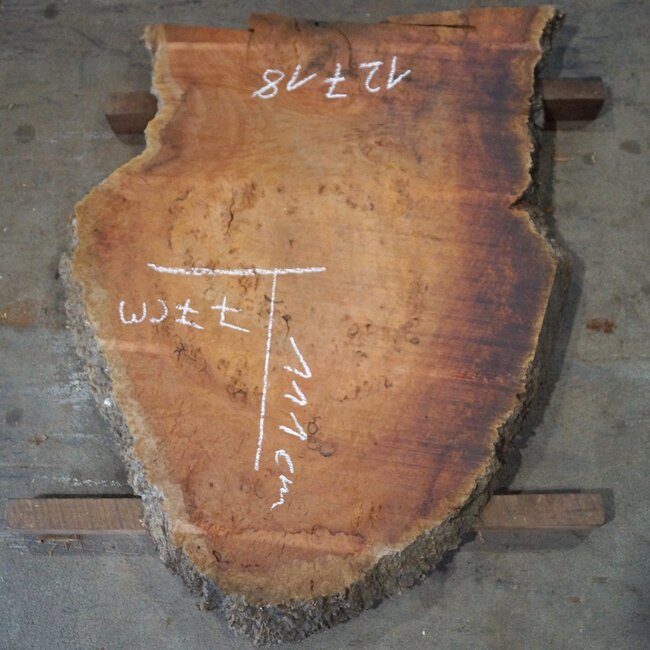 Eucalyptus Maser Tischplatte, ca. 1110 x 770(1200x900) x 52 mm, 12718
