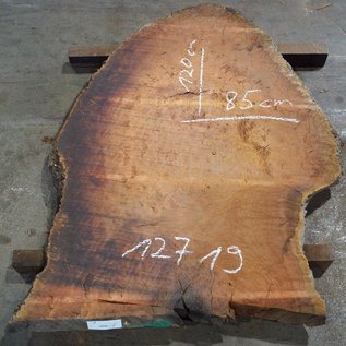 Eucalyptus burl table top, approx. 1200 x 850(1250x1000) x 52 mm, 12719