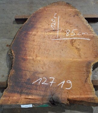Eucalyptus Maser Tischplatte, ca. 1200 x 850(1250x1000) x 52 mm, 12719