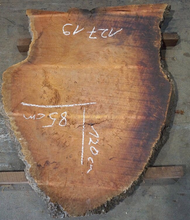 Eucalyptus burl table top, approx. 1200 x 850(1250x1000) x 52 mm, 12719
