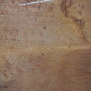 Eucalyptus burl table top, approx. 1200 x 850(1250x1000) x 52 mm, 12719