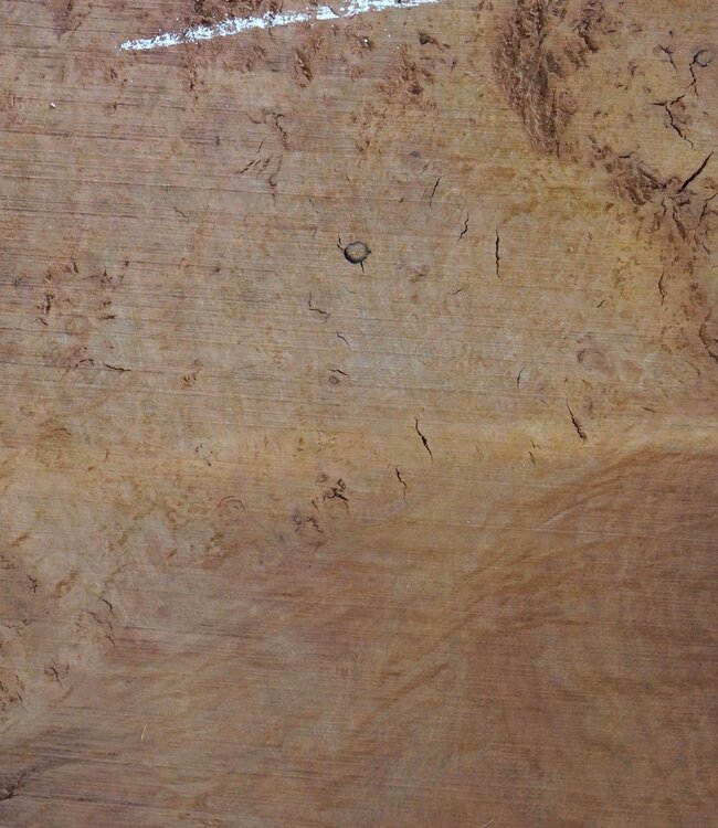 Eucalyptus burl table top, approx. 1200 x 850(1250x1000) x 52 mm, 12719