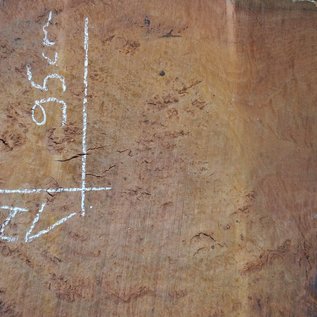 Eucalyptus burl table top, approx. 1200 x 950(1280x1050) x 52 mm, 12720