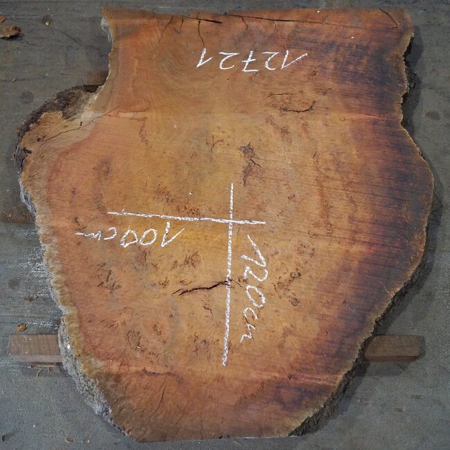 Eucalyptus Maser Tischplatte, ca. 1200 x 1000(1300x1160) x 52 mm, 12721