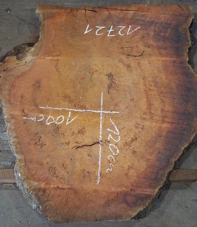 Eucalyptus burl table top, approx. 1200 x 1000(1300x1160) x 52 mm, 12721