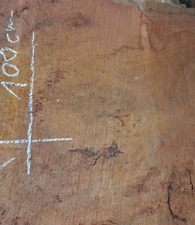 Eucalyptus burl table top, approx. 1200 x 1000(1300x1160) x 52 mm, 12721