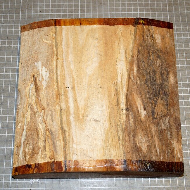 Rüster, ca. 230 x 230 x 56 mm, 1,8 kg