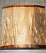 Dutch Elm, approx. 230 x 230 x 56 mm, 1,8 kg