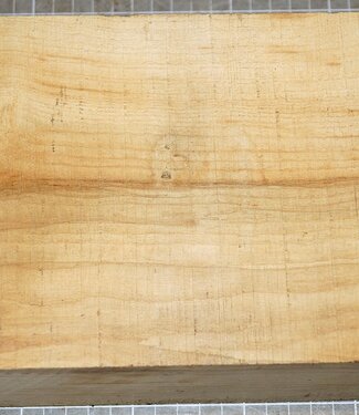 Olive Ash, approx. 300 x 155 x 78 mm, 2,7 kg
