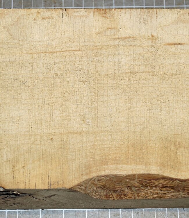 Olivesche, ca. 300 x 155 x 78 mm, 2,7 kg