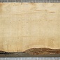 Olive Ash, approx. 300 x 155 x 78 mm, 2,7 kg