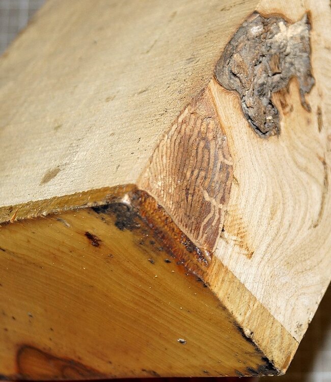 Olivesche, ca. 300 x 155 x 78 mm, 2,7 kg