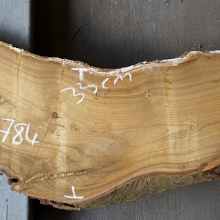 Laburnum slab, approx. 1420 x 330(230) x 50 mm, 12784