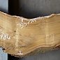 Goldregen Bohle, ca. 1420 x 330(230) x 50 mm, 12784