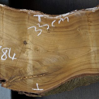 Laburnum slab, approx. 1420 x 330(230) x 50 mm, 12784