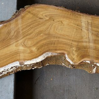 Laburnum slab, approx. 1420 x 330(230) x 50 mm, 12784