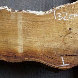 Laburnum slab, approx. 1420 x 320(200) x 50 mm, 12783