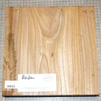 Rüster, ca. 260 x 260 x 50 mm, 2,42 kg