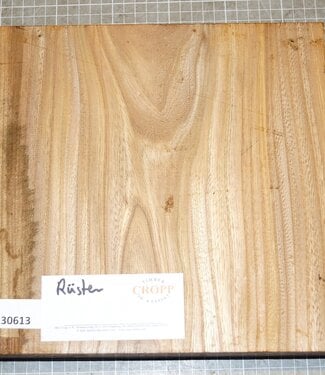 Dutch Elm, approx. 260 x 260 x 50 mm, 2,42 kg