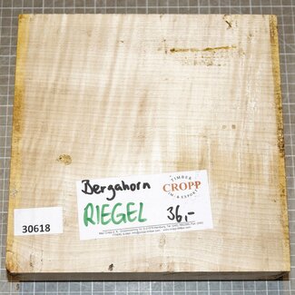 Bergahorn, Riegel, ca. 220 x 220 x 60 mm, 2,08 kg