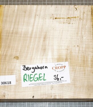 Bergahorn, Riegel, ca. 220 x 220 x 60 mm, 2,08 kg