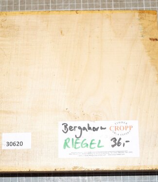 Bergahorn, Riegel, ca. 220 x 220 x 60 mm, 2,04 kg