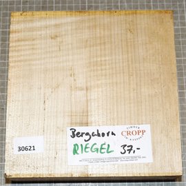 Bergahorn, Riegel, ca. 220 x 210 x 60 mm, 2,10 kg