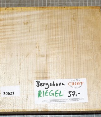 EU Sycamore, fiddleback, approx. 220 x 210 x 60 mm, 2,10 kg