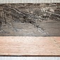 Macassar Ebony, approx. 400 x 160 x 40 mm, 2,50 kg