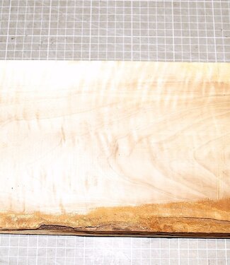 Pappel Maser, ca. 610 x 170 x 50 mm, 2,5 kg