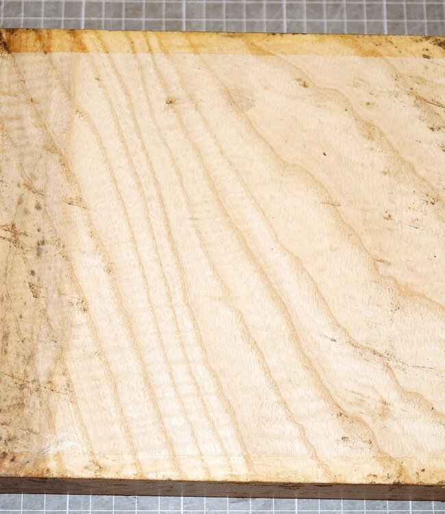 Ash fiddleback, approx. 200 x 200 x 50 mm, 1,3 kg