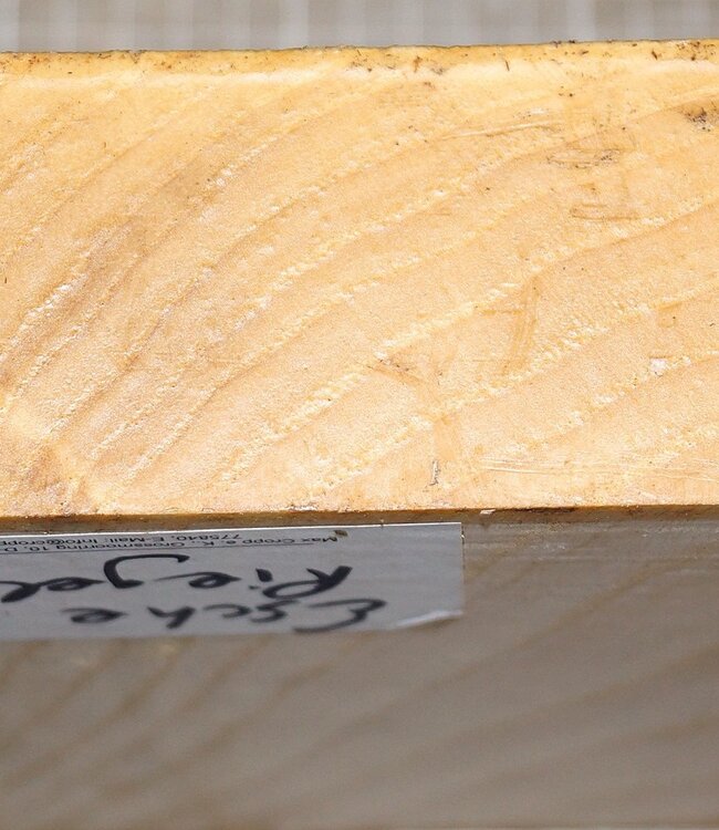 Ash fiddleback, approx. 200 x 200 x 50 mm, 1,3 kg