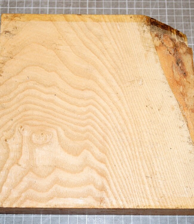 Ash fiddleback, approx. 220 x 220 x 50 mm, 1,4 kg