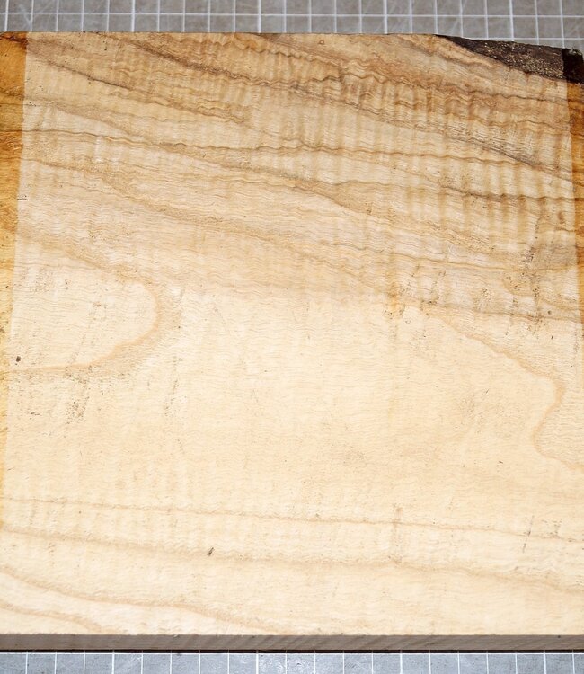 Ash fiddleback, approx. 210 x 210 x 50 mm, 1,4 kg