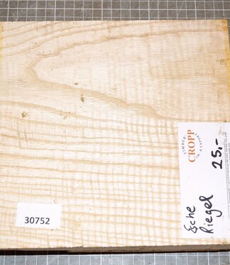 Ash fiddleback, approx. 220 x 210 x 50 mm, 1,4 kg