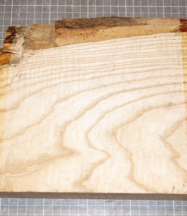 Ash fiddleback, approx. 220 x 210 x 50 mm, 1,4 kg