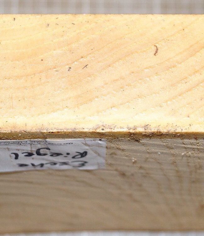 Ash fiddleback, approx. 220 x 220 x 50 mm, 1,5 kg