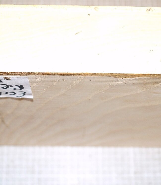 Ash fiddleback, approx. 320 x 320 x 50 mm, 3,5 kg