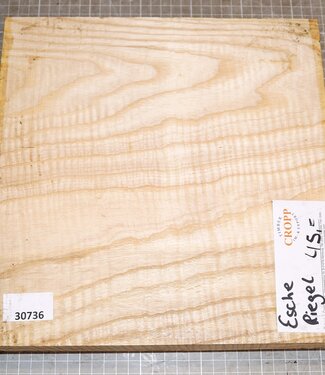 Ash fiddleback, approx. 280 x 280 x 50 mm, 2,5 kg