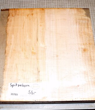 Spitzahorn, ca. 340 x 340 x 80 mm, 5,2 kg